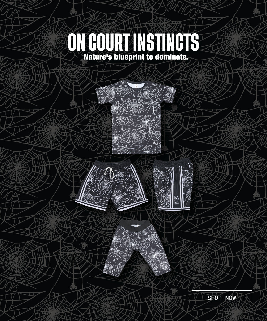 On Court Instincts