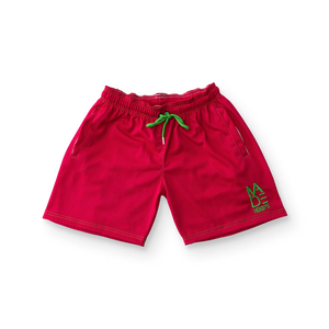Vibrant Essential Embroidered Logo Shorts