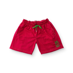 Vibrant Essential Embroidered Logo Shorts