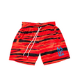 Load image into Gallery viewer, Abstract STRIPE Shorts
