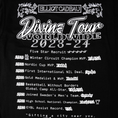 Load image into Gallery viewer, EC Divine Tour Long Sleeve

