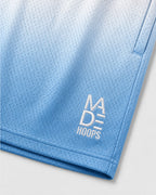 Gradient Mesh Shorts