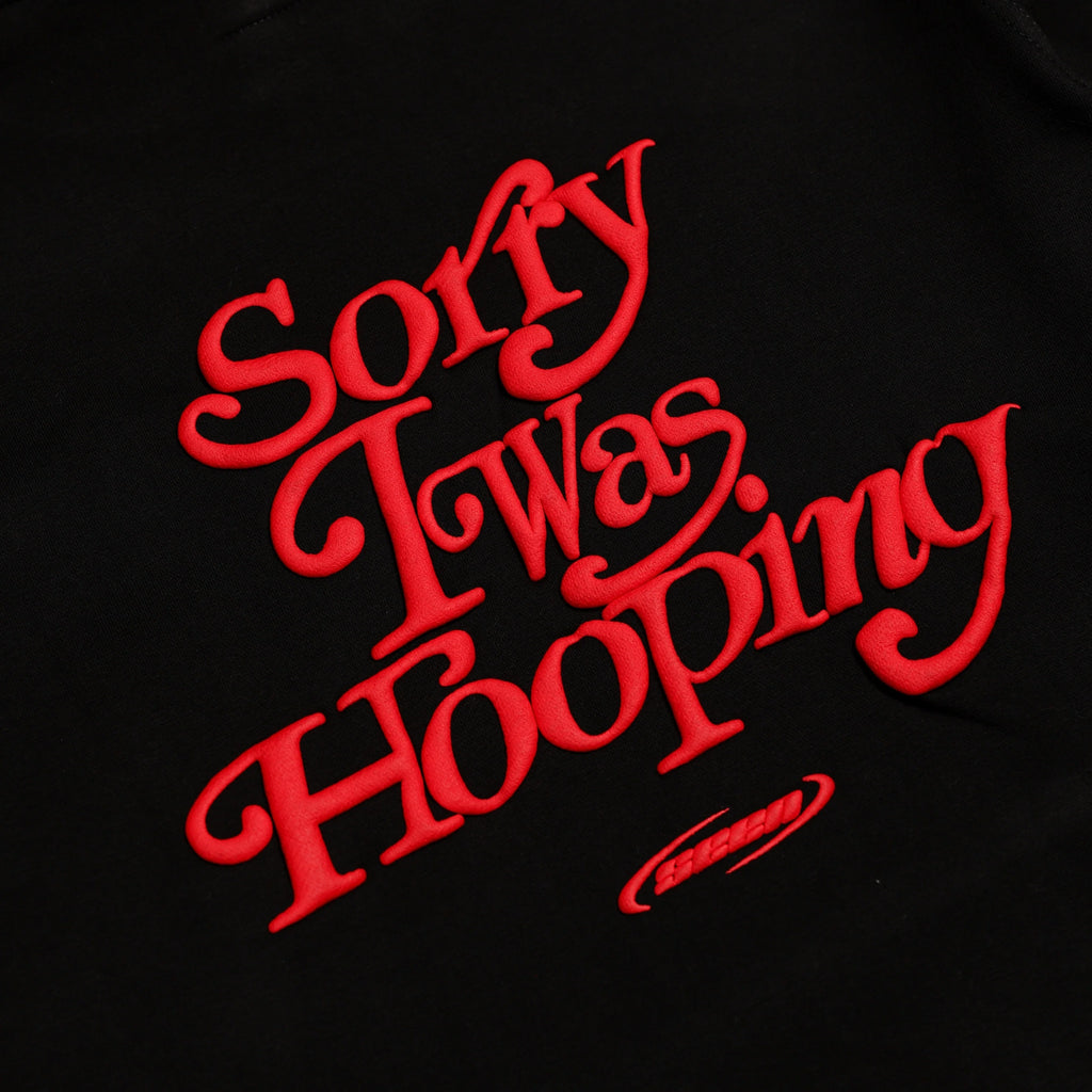 Sorry I Was Hooping Hoodie