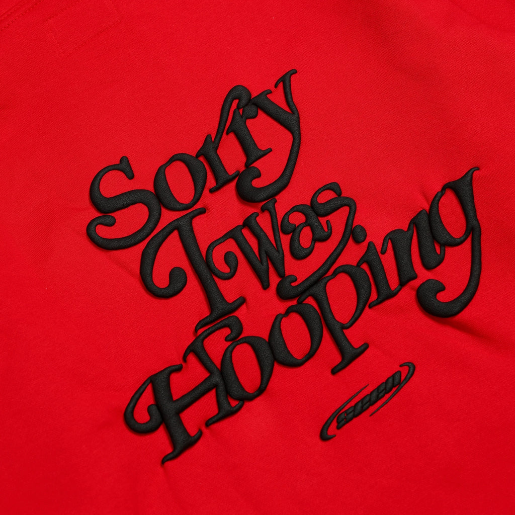 Sorry I Was Hooping Hoodie